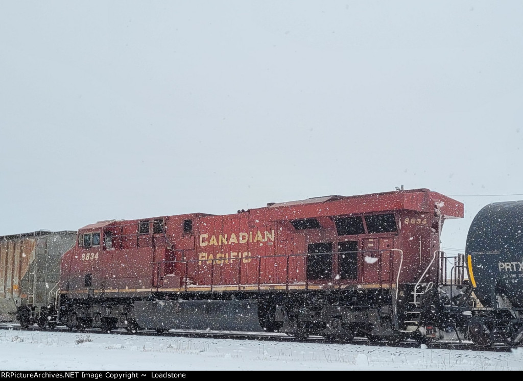 CP 8834